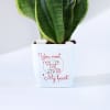 Gift You Won My Heart - Snake Plant