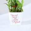 Gift You Won My Heart - Two Layered Bamboo Plant In Pot
