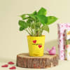 Gift Your Forever Valentine Money Plant