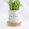 Buy Zen Oasis - 2-Layer Bamboo Plant With Pot - Personalized