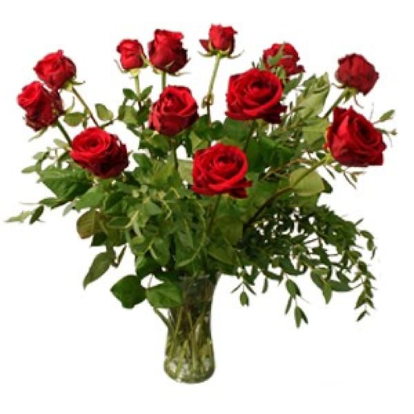 Buy/Send 12 red roses Online IGP NID1311377