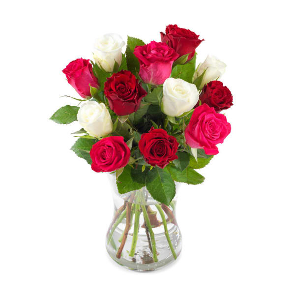 12 Roses Romantic boost