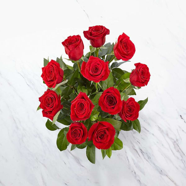 Buy/Send 12 Roses Short Stemmed Online IGP NID1321792