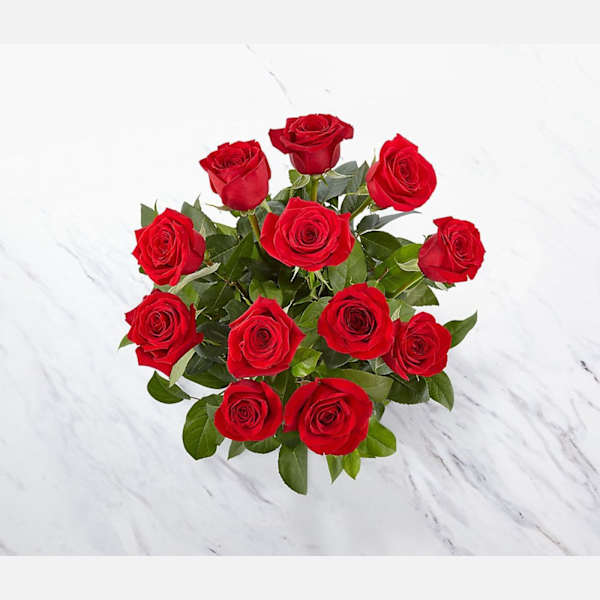 12 Roses Short Stemmed