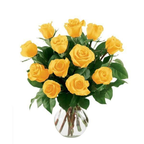 12 Yellow Roses in a gift wrap