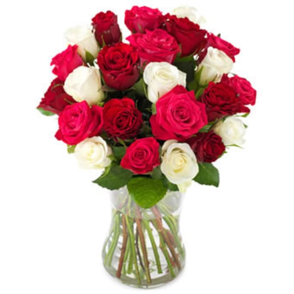 18 Roses Romantic boost