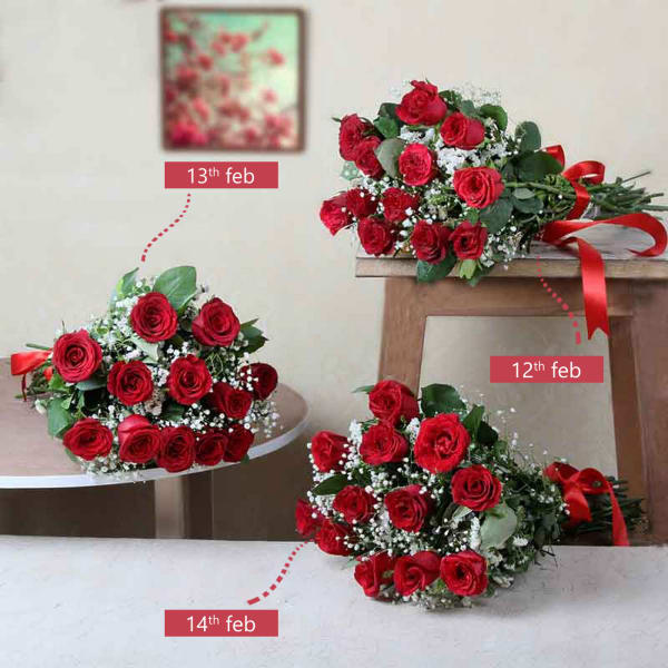 Order 3 Day Serenade Gift Online at Best Price, Free DeliveryIGP Flowers