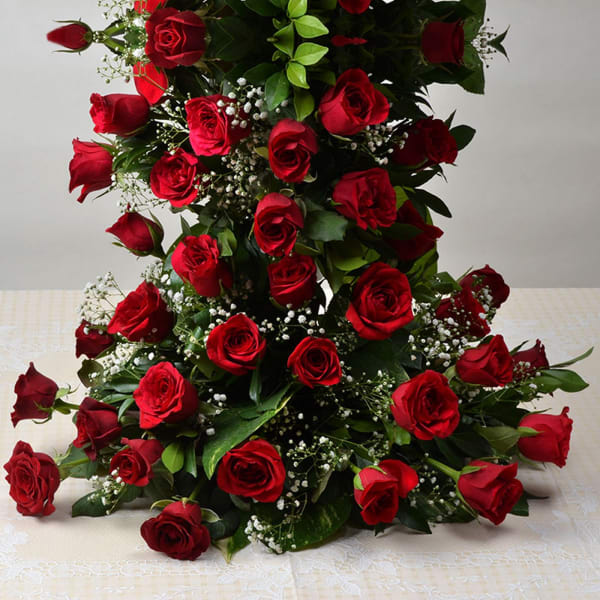 order-3ft-long-100-roses-stand-online-at-best-price-free-delivery-igp