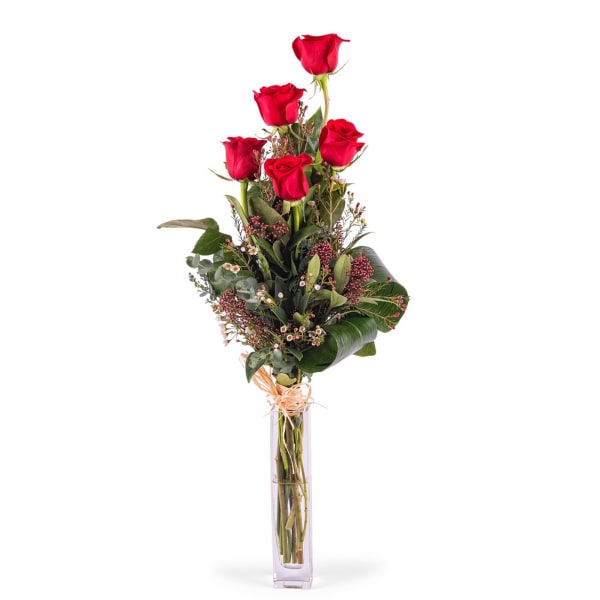 5 Long-stemmed Red Roses