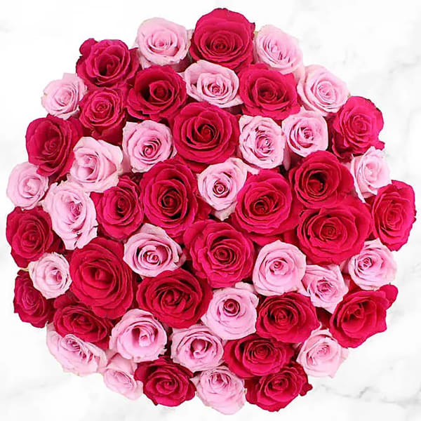 50 Stem Pink & Red Roses