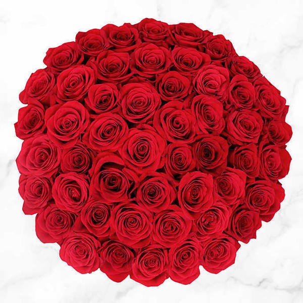 50 Stem Red Roses