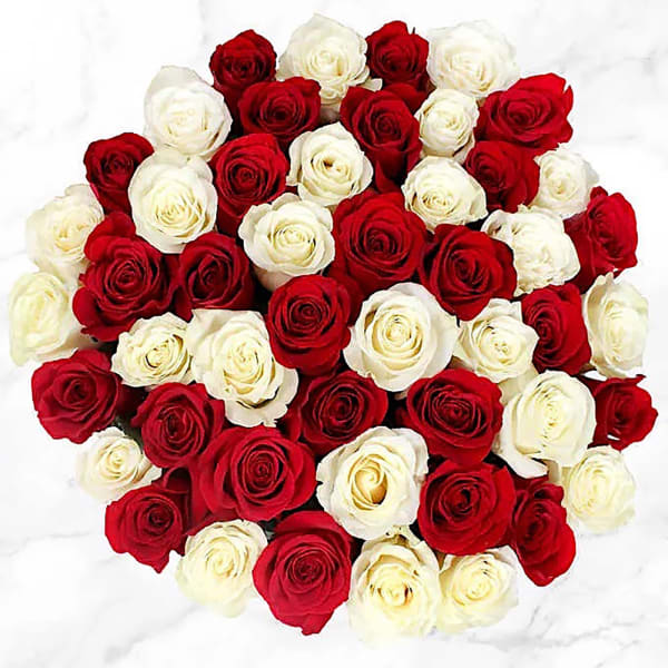 50 Stem Red & White Roses