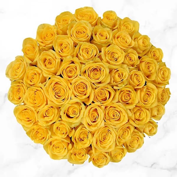 50 Stem Yellow Roses