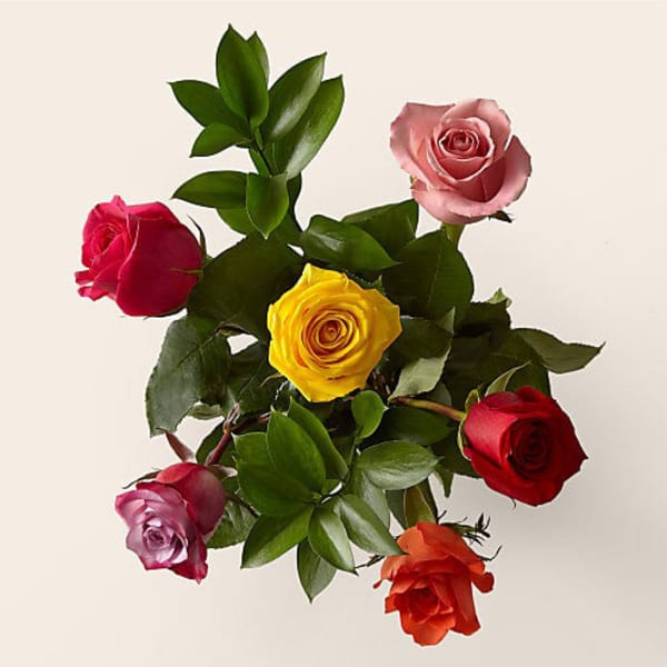 6 Mix Roses Bouquet