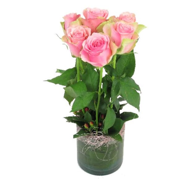 6 Pink Roses In Vase