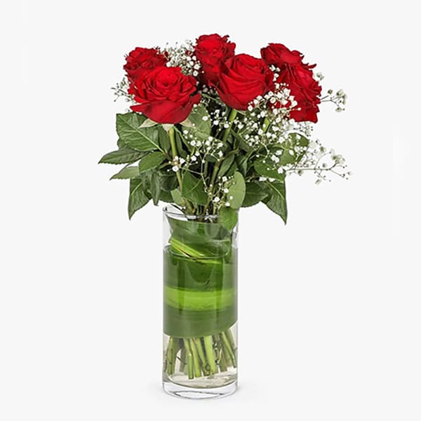 6 RED ROSES AND BABYS BREATH IN A VASE