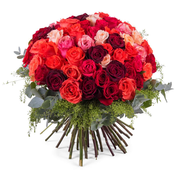 60 Short-stemmed Multicoloured Roses