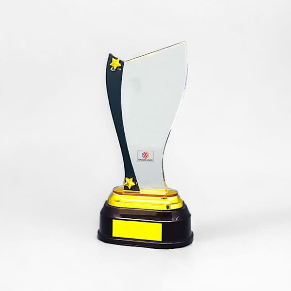 Acrylic Trophy With Fibre Base