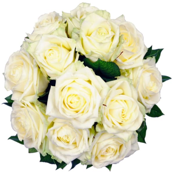 Affection - 12 white roses