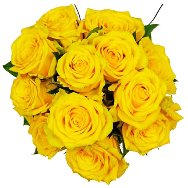 Affection - 12 yellow roses