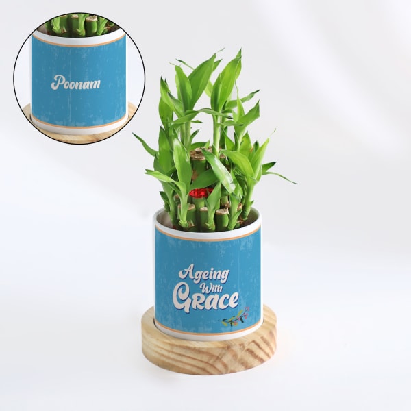 Ageing With Grace - Personalized 2-Layer Bamboo Plant With Pot
