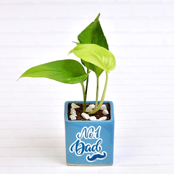 Air Purifying Money Plant in Personalized Dad Special Ceramic Pot (Moderate Light/More Water)
