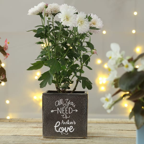 All you need Personalized Ceramic Planter