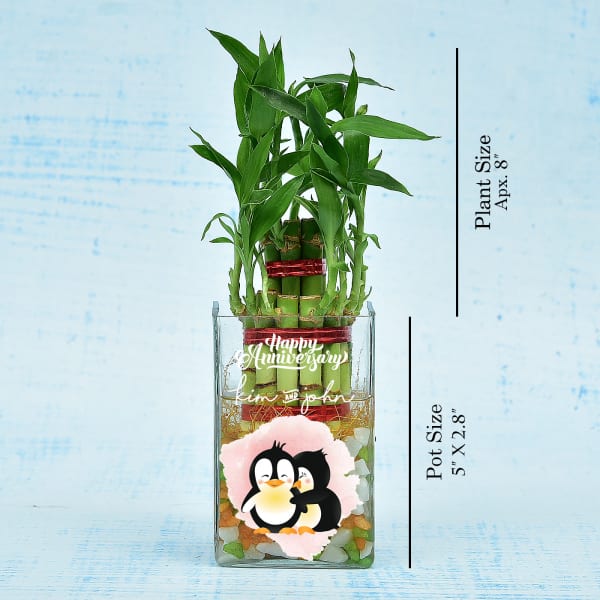 Anniversary Special Two Layer Lucky Bamboo In Personalized Glass Vase (Less Water/Moderate Sunlight)