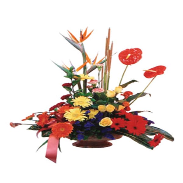 Arrangement of Mixed Coloured Flowers