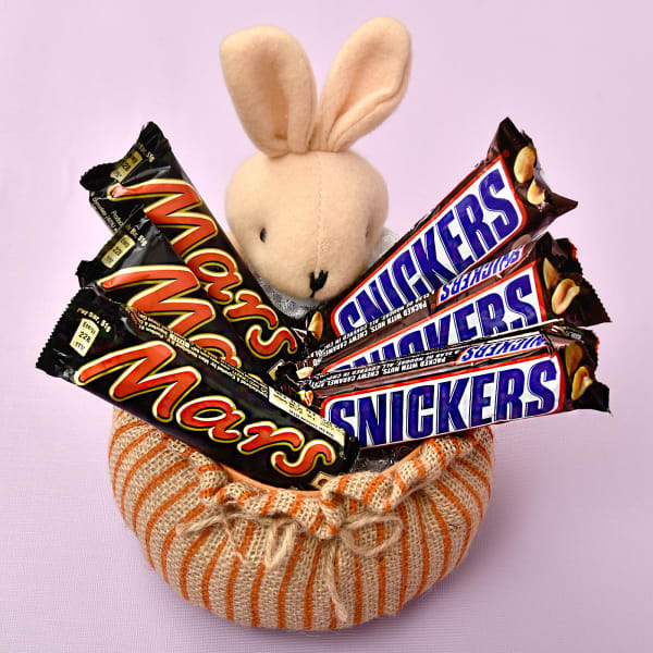 teddy basket