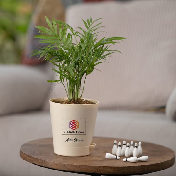 Bamboo Palm Plant Customized with logo and Name