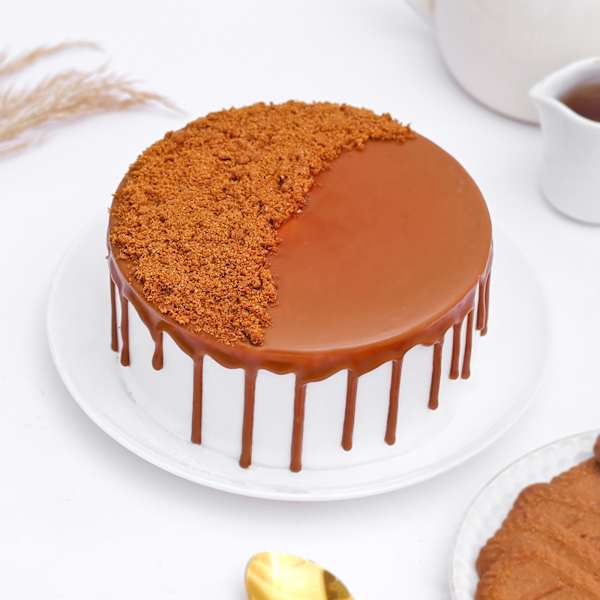 Biscoff Ice Cream Cake