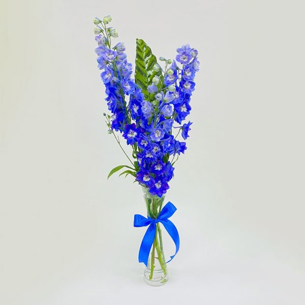 Blissful Blue Bouquet
