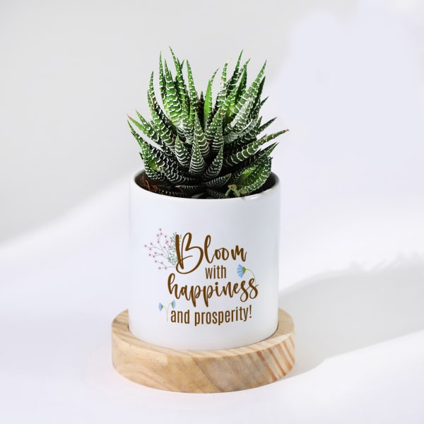 Bloom With Happiness Haworthia Succulent With Personalized Planter
