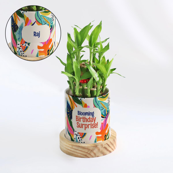 Blooming Birthday Surprise Personalized 2-Layer Bamboo Plant With Pot