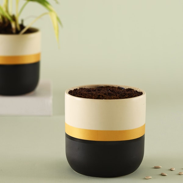 Bold And Gold Ceramic Planter - Without Plant