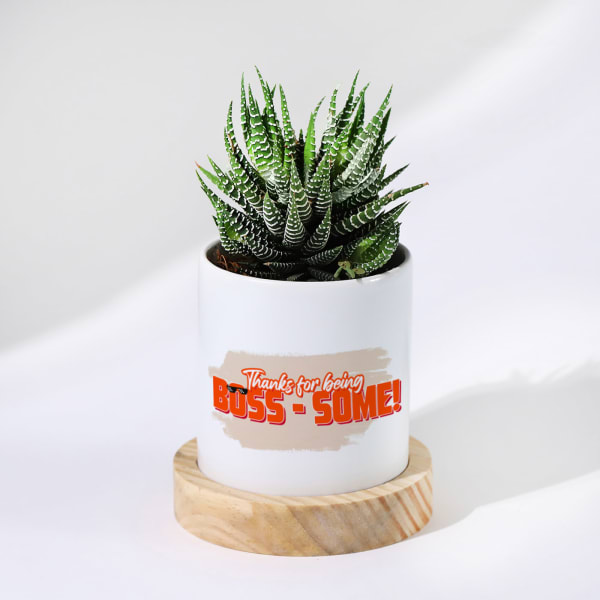 Boss-some Haworthia Succulent With Personalized Planter