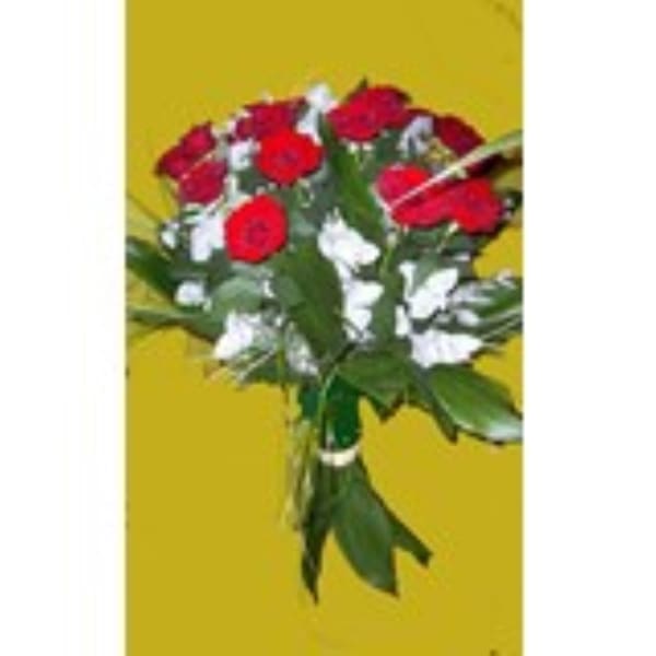 Bouquet of 15 Long Stemmed Red Roses