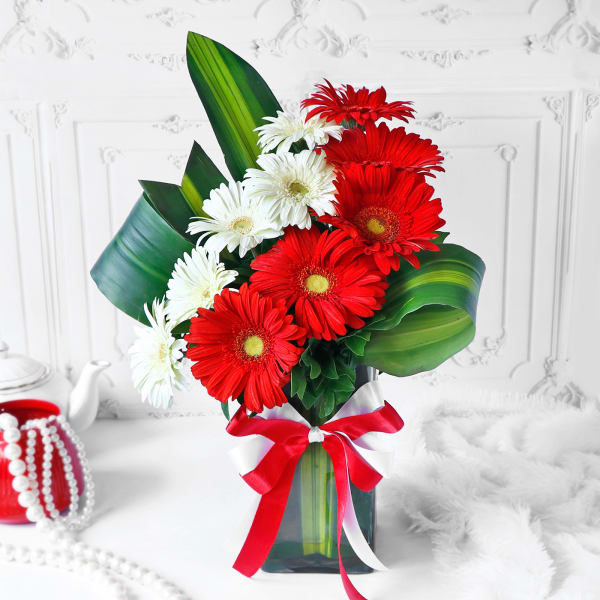 Bouquet of Mixed Gerberas in Glass Vase (5 Stems Each)