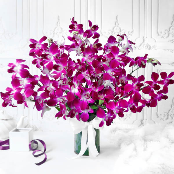 Bouquet of Purple Orchids in Glass vase (10 Stems)