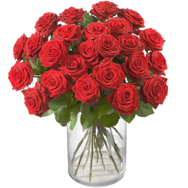 Bouquet of Red Roses Classics