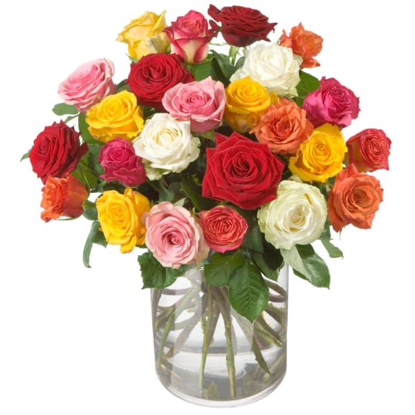 Bouquet of roses Allure (without vase)
