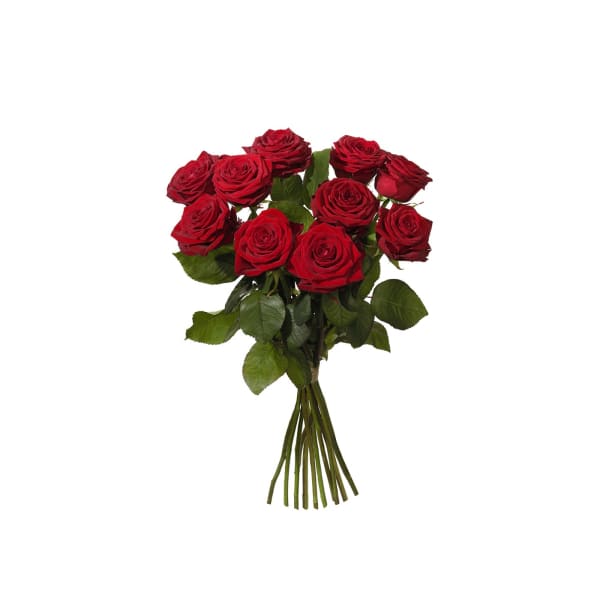 Bouquet with 10 red roses