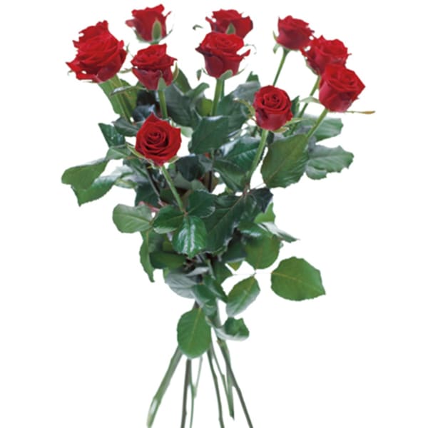 Bouquet with 12 red roses