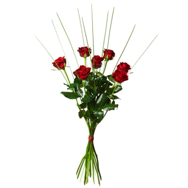 Bouquet with 7 red roses