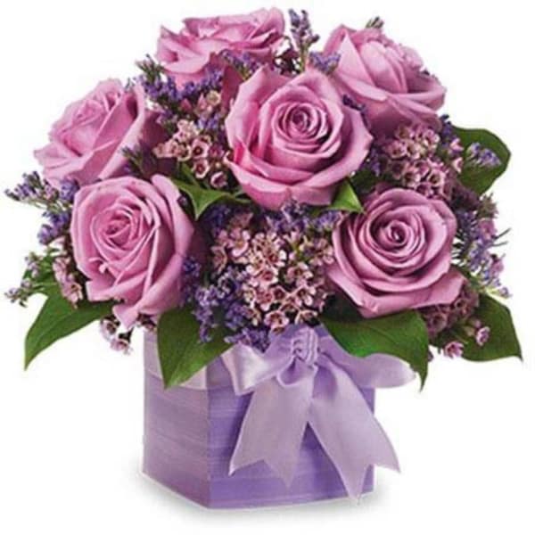 Box Arrangement of 10 Purple Roses