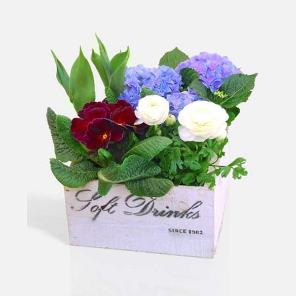 Buy/Send Box with spring plants Online IGP ID1357043