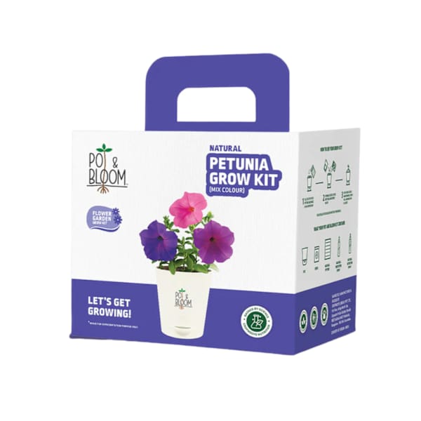 Bright Blooms Petunia Grow Kit