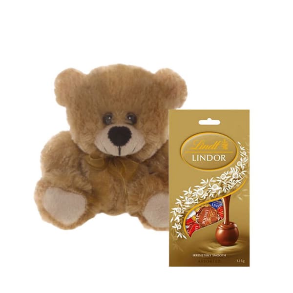 Brown Teddy with Chocolate Bag