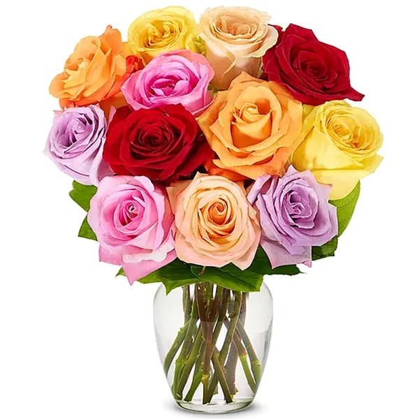 Bunch of 12 Mix Roses
